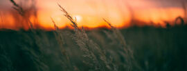 Imagem da notícia Lorem ipsum dolor sit amet, consectetur adipiscing elit, sed do eiusmod tempor incididunt.